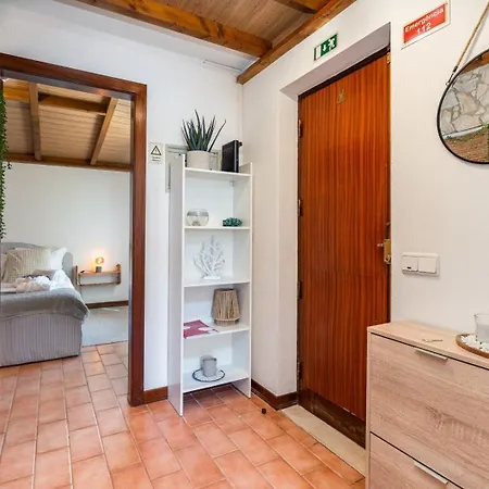 Apartment The Golden Breeze - Beachside Pool & Bbq Escape